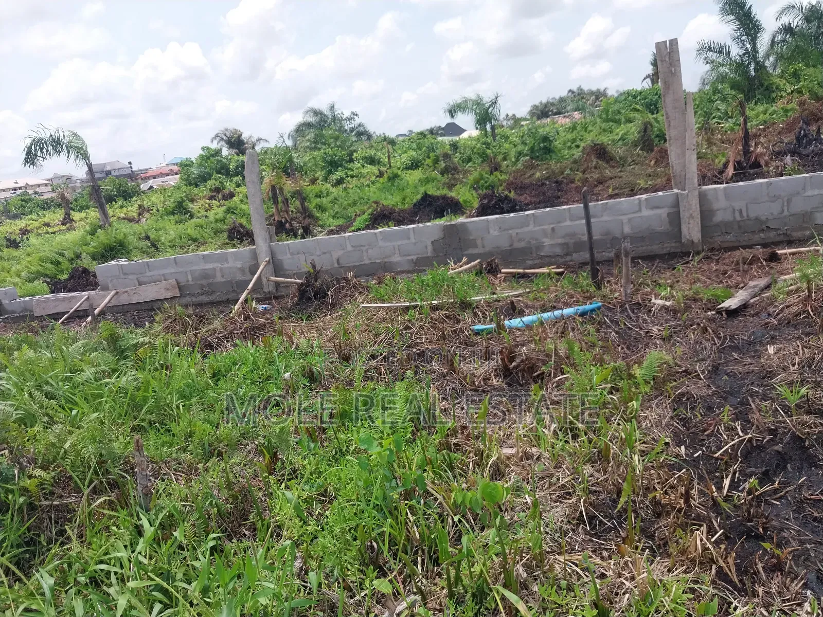 100 Acres of Farmland Someke Mowe Ofada Owode Ogun State
