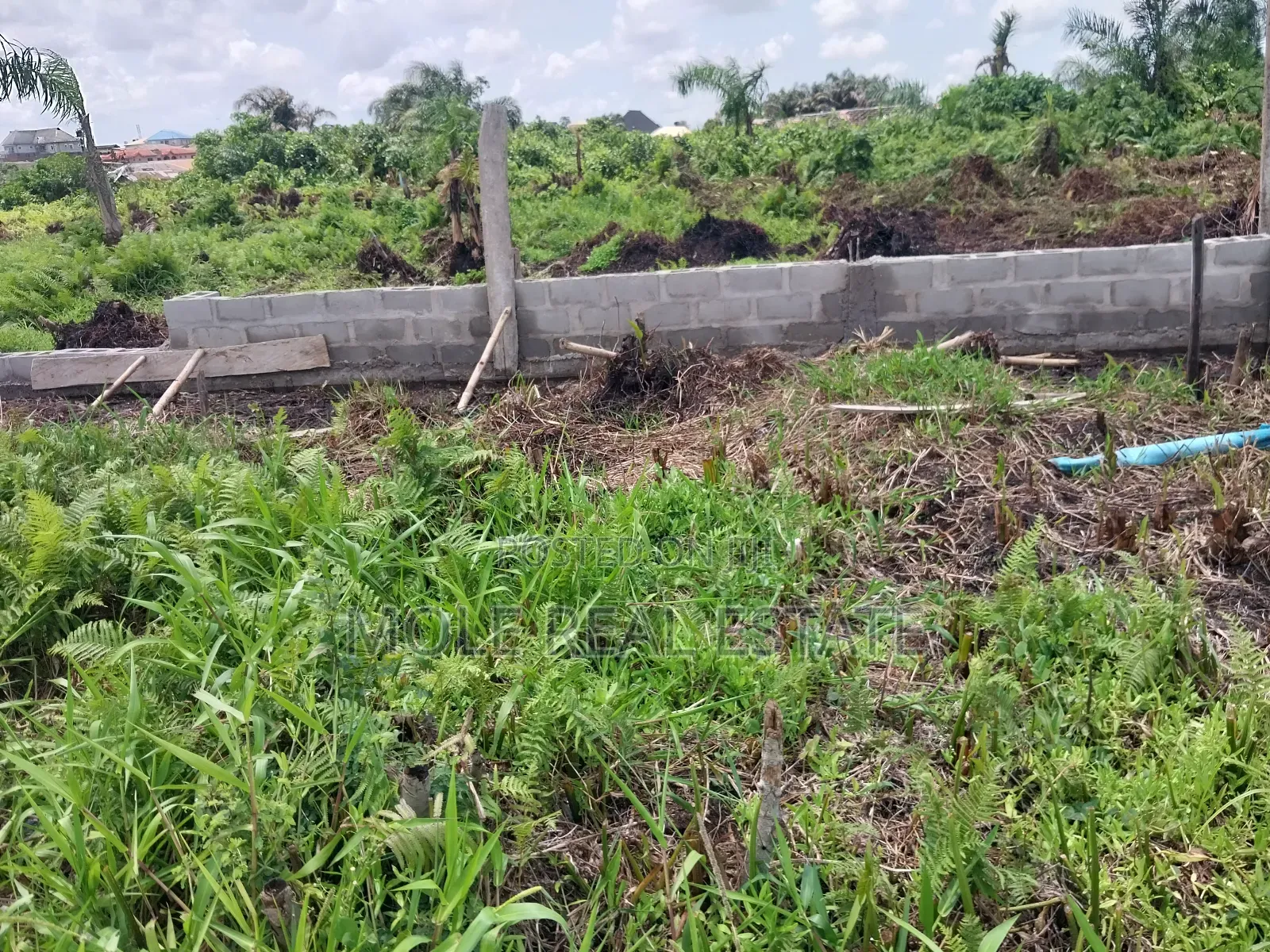 100 Acres of Farmland Someke Mowe Ofada Owode Ogun State
