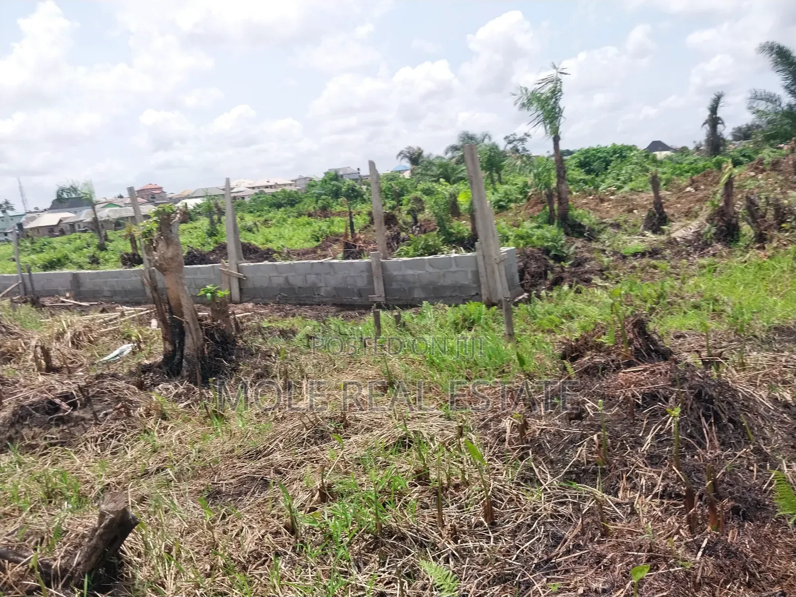 Over 300 Acres of Farmland Someke Ofada Near Lagos