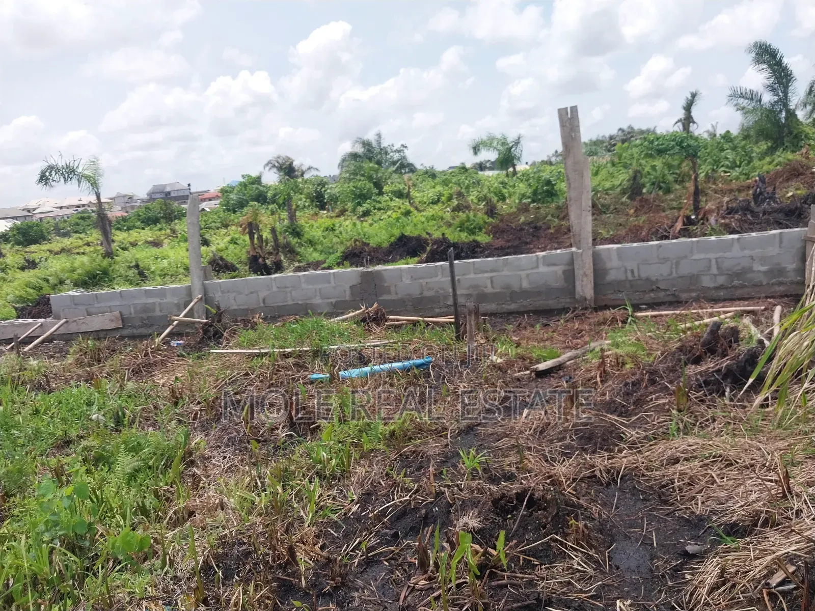 Over 300 Acres of Farmland Someke Ofada Near Lagos