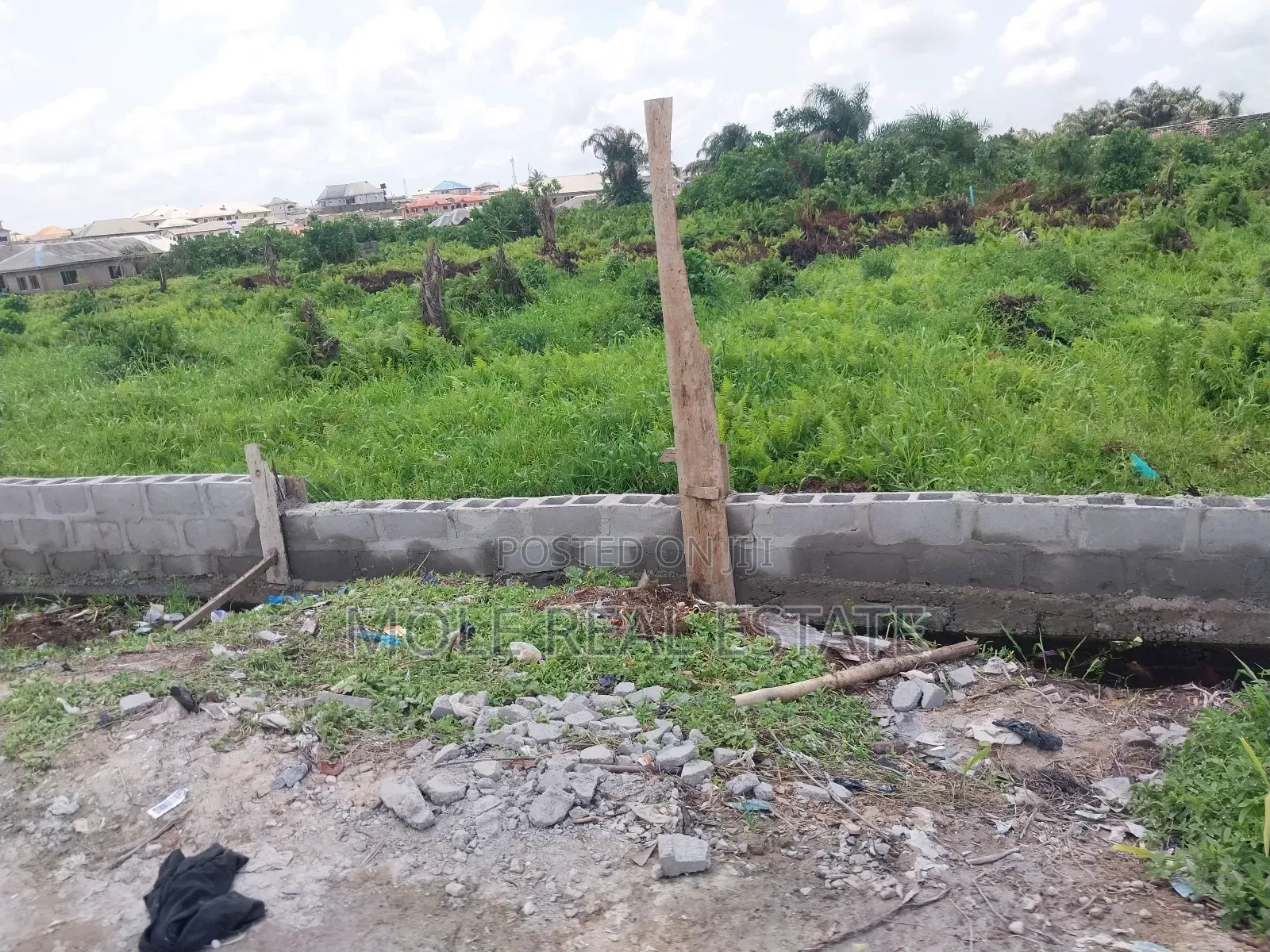 Over 300 Acres of Farmland Someke Ofada Near Lagos
