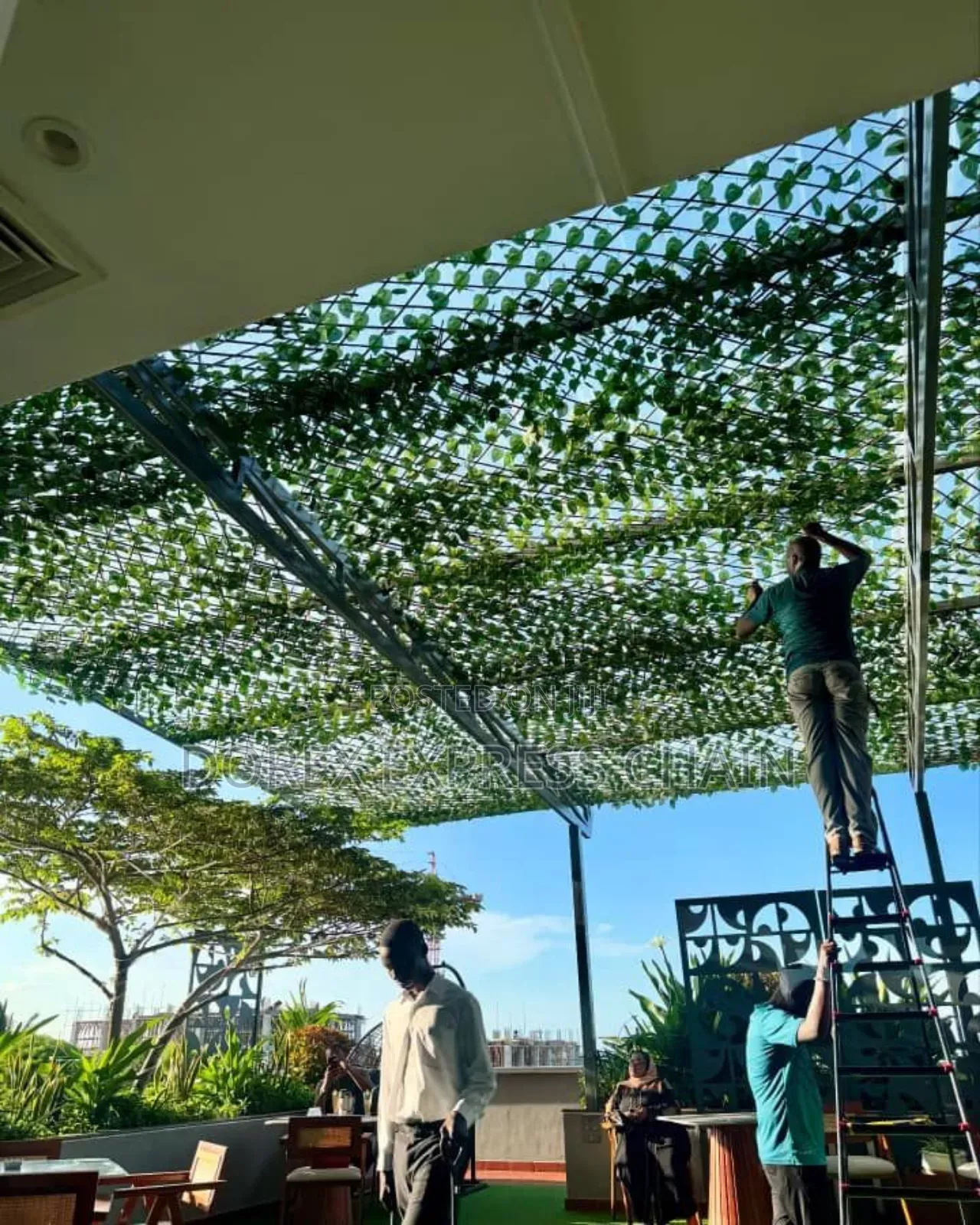 Crafting Dreamy Pergolas: Beauty Meets Functionality.