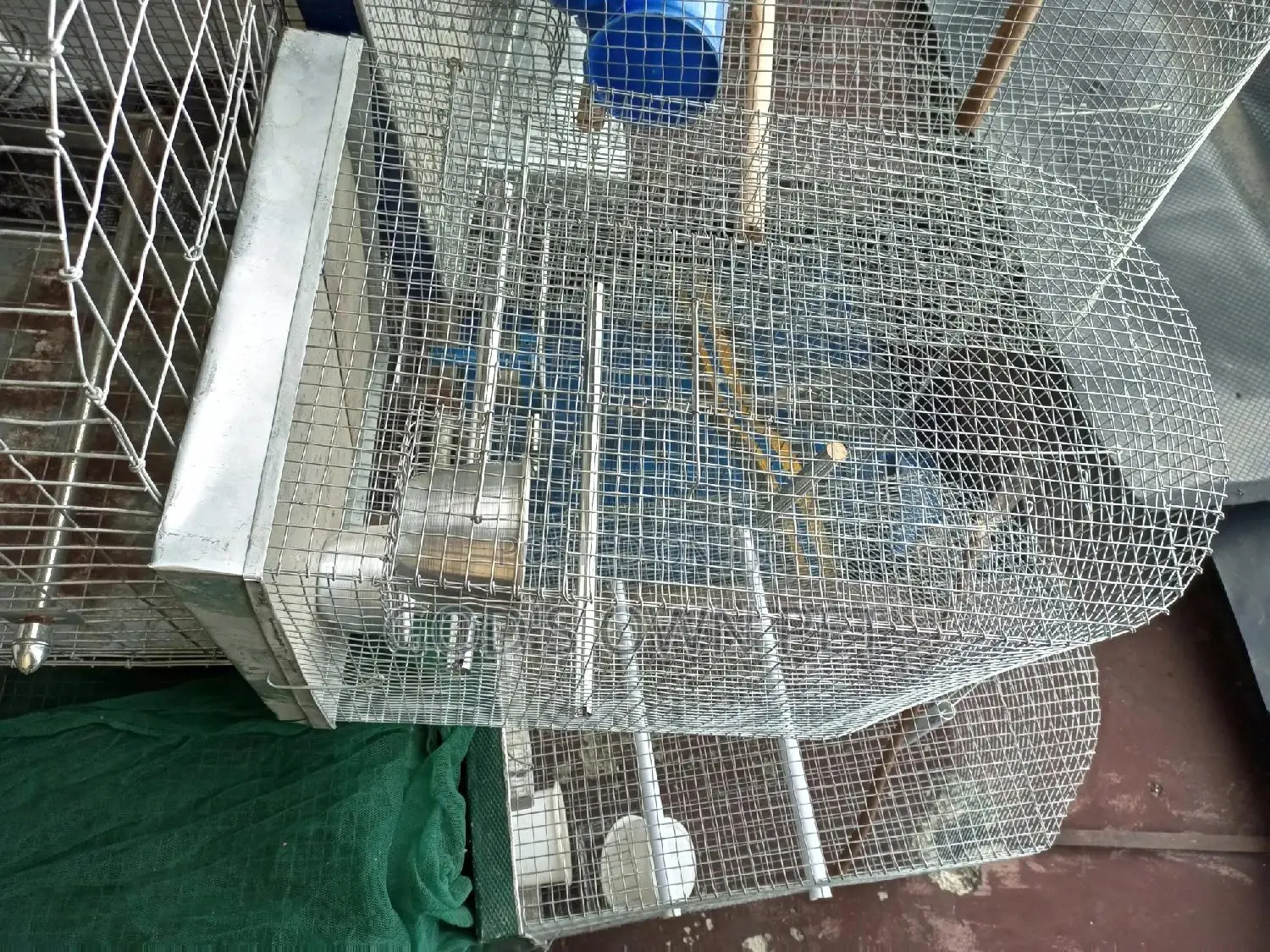 Well Built Local Cage for Your Parrot