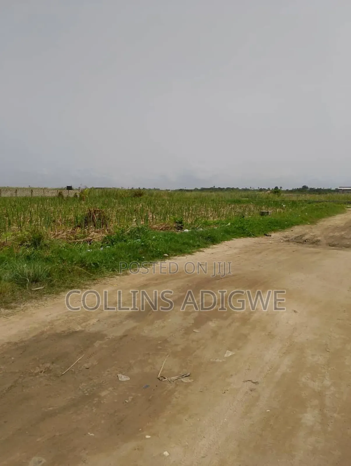 8 Acres of Land Sangotedo
