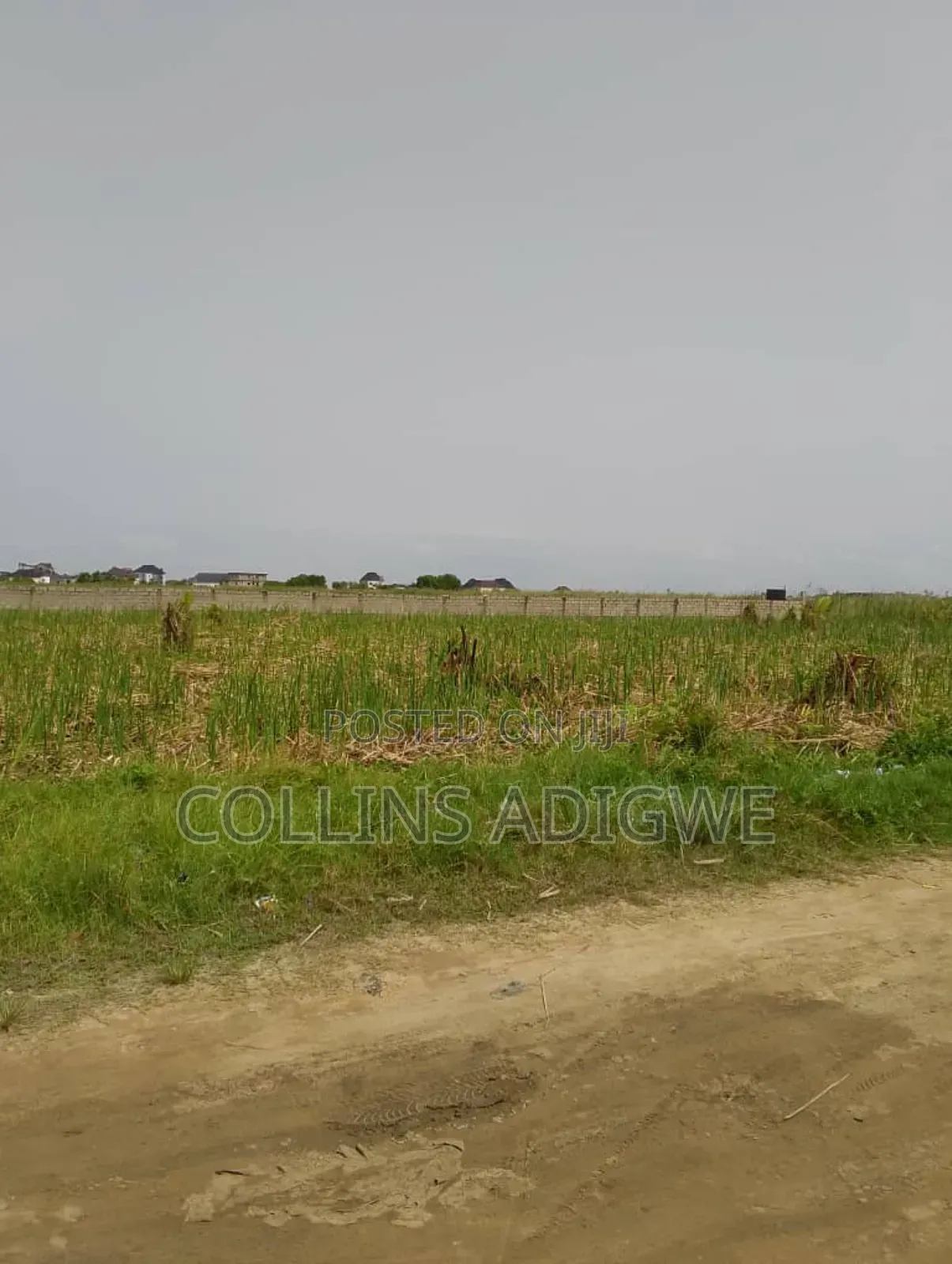 8 Acres of Land Sangotedo