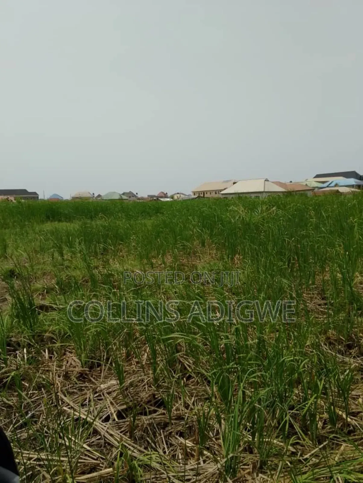 2 Plots for Sale Sangotedo