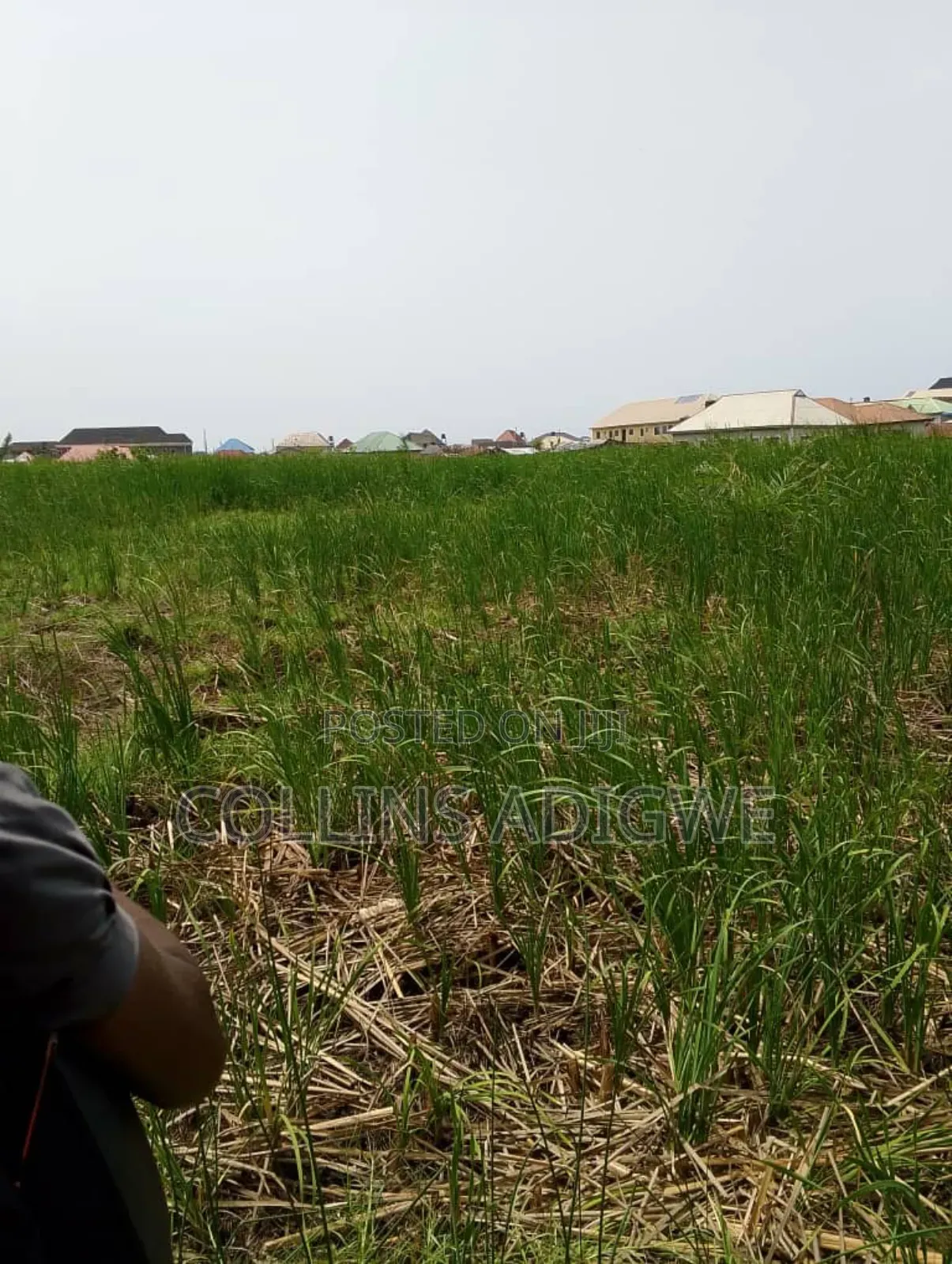 2 Plots for Sale Sangotedo