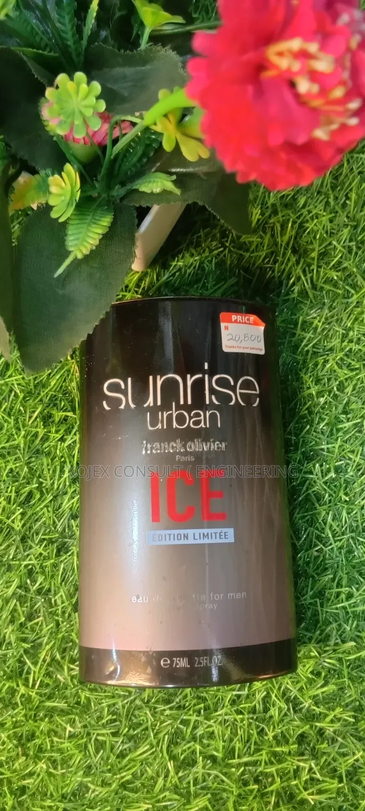 Original Eternity Sunrise Urban