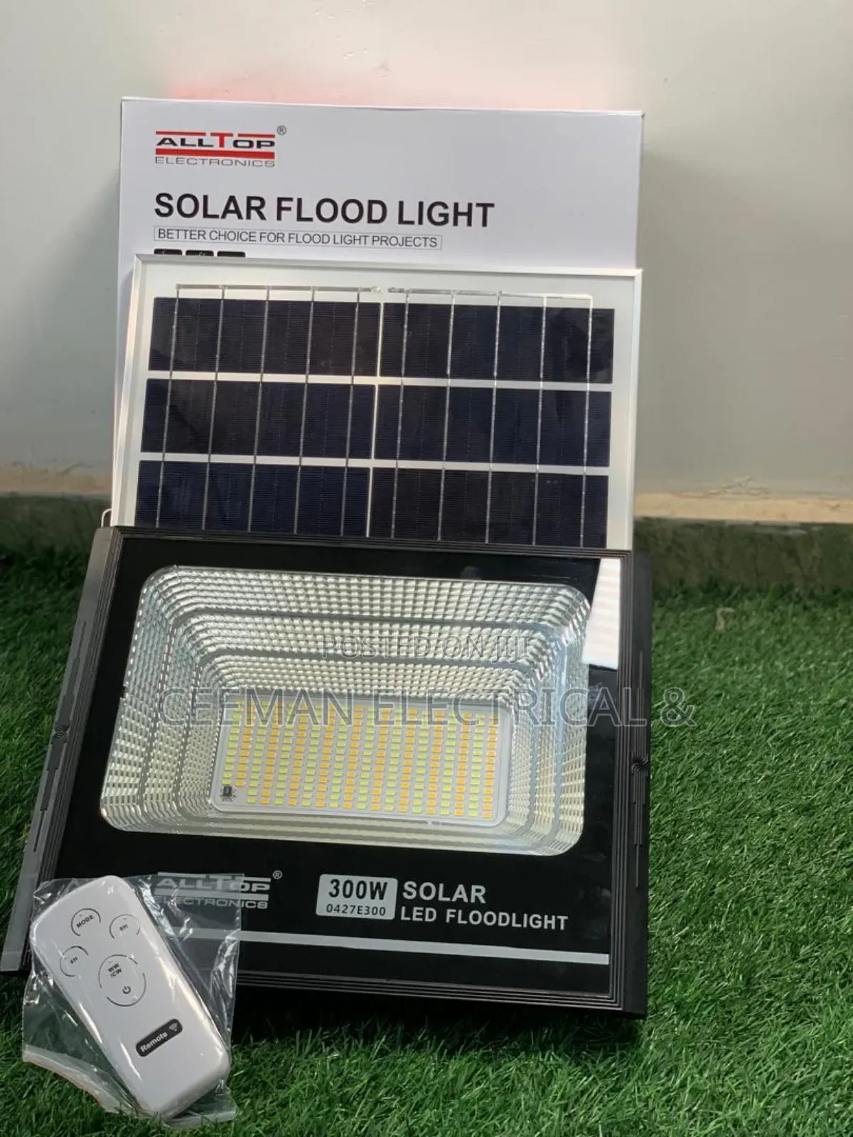 Solar Flood Light