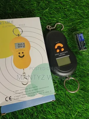 Electronic Luggage/Hanging Scale 0-50kg