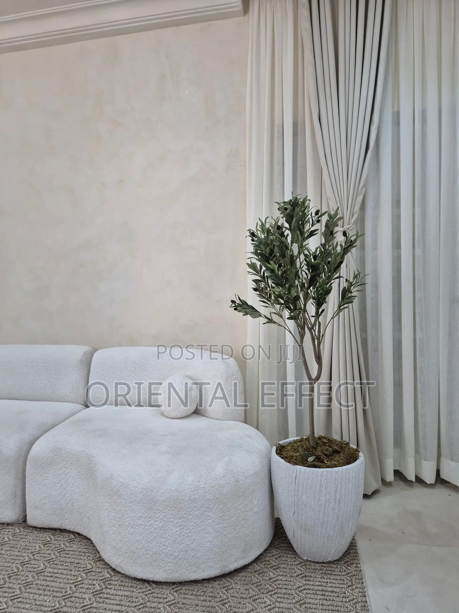 Olive Tree 142cm With Granite Stripe Bowl ( Grey)