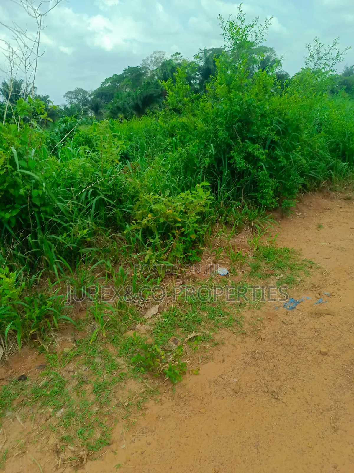 Farm Land at Odeda Abeokuta