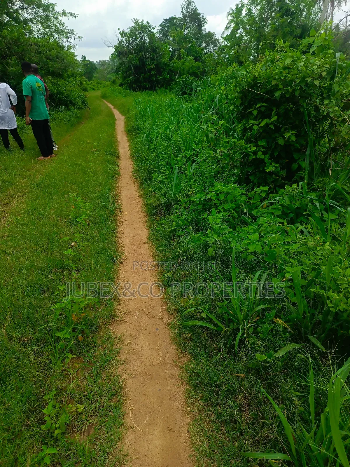 Farm Land at Odeda Abeokuta