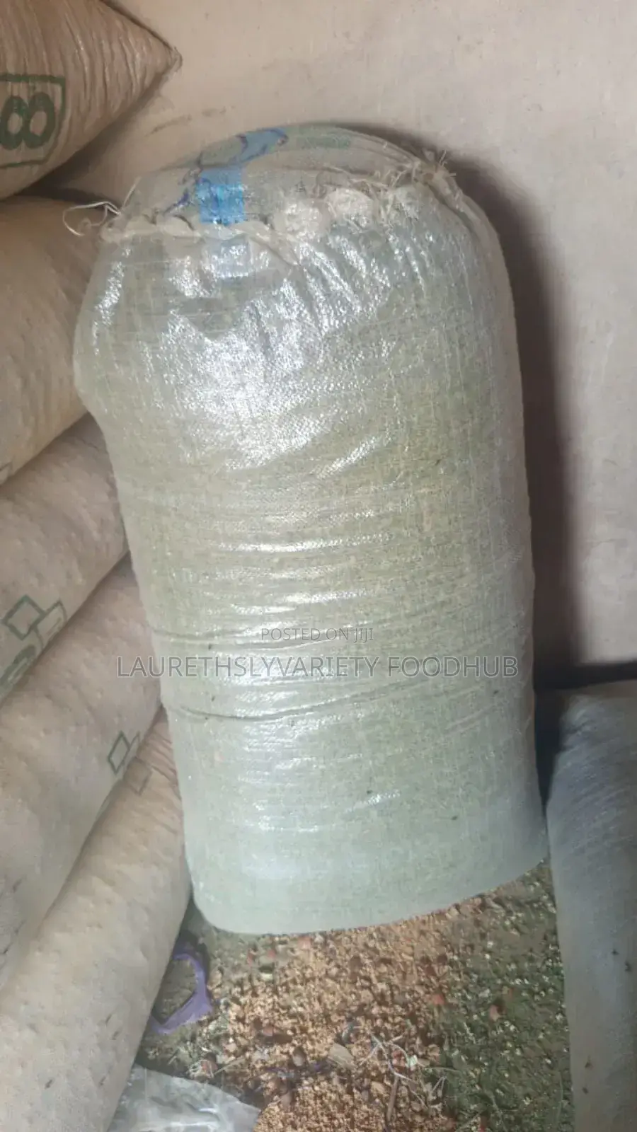 *Moringa Magic!*