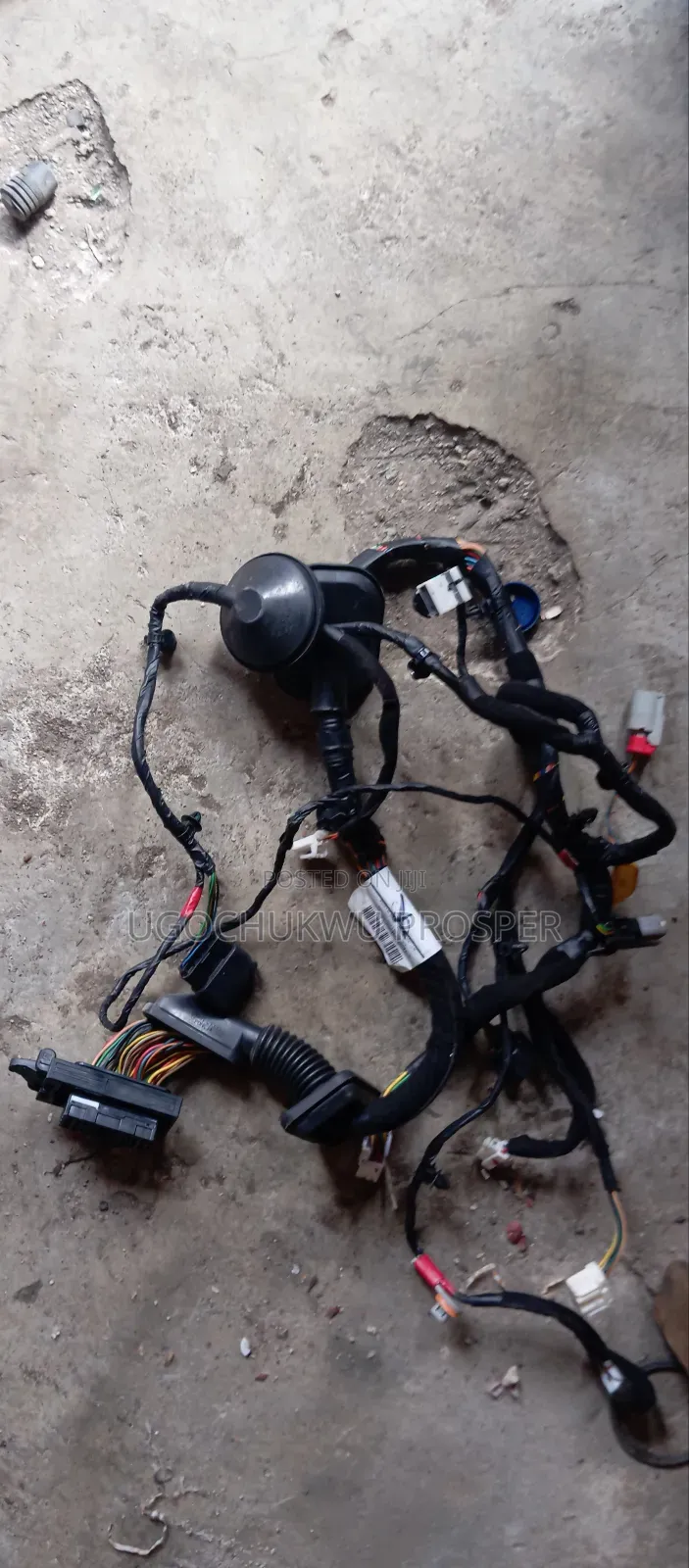 Complete Door Wire Lh