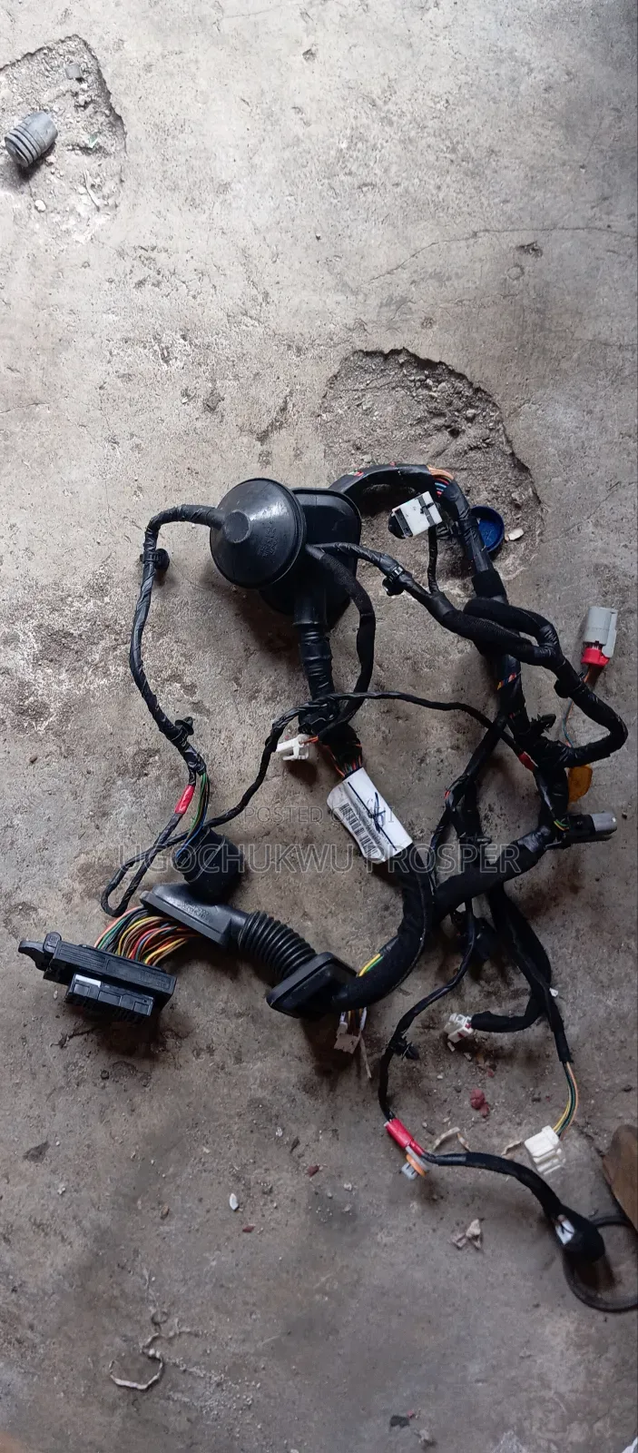 Complete Door Wire Lh