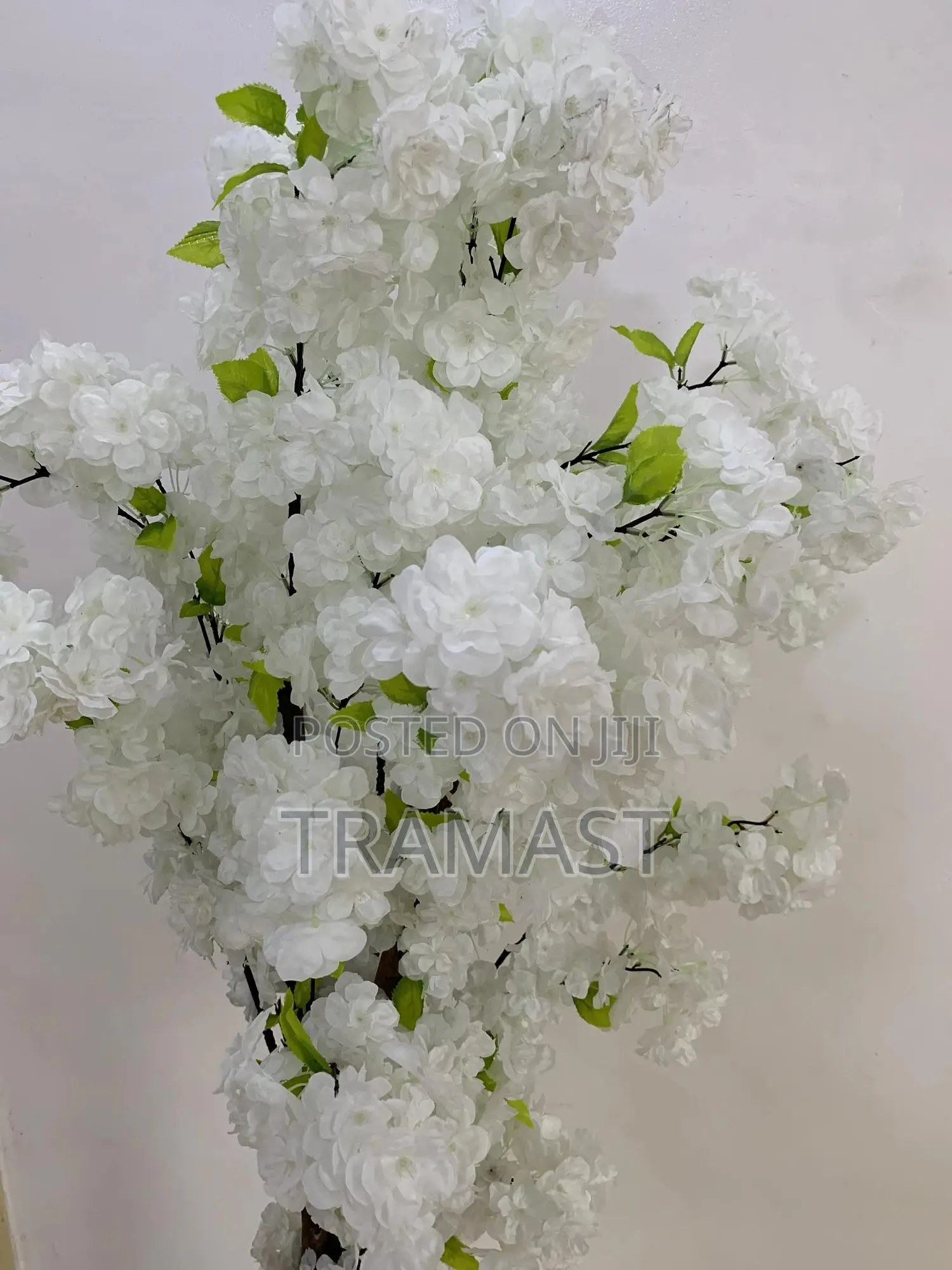 Cherry Blossom Tree And Round Ball Vase And Combo