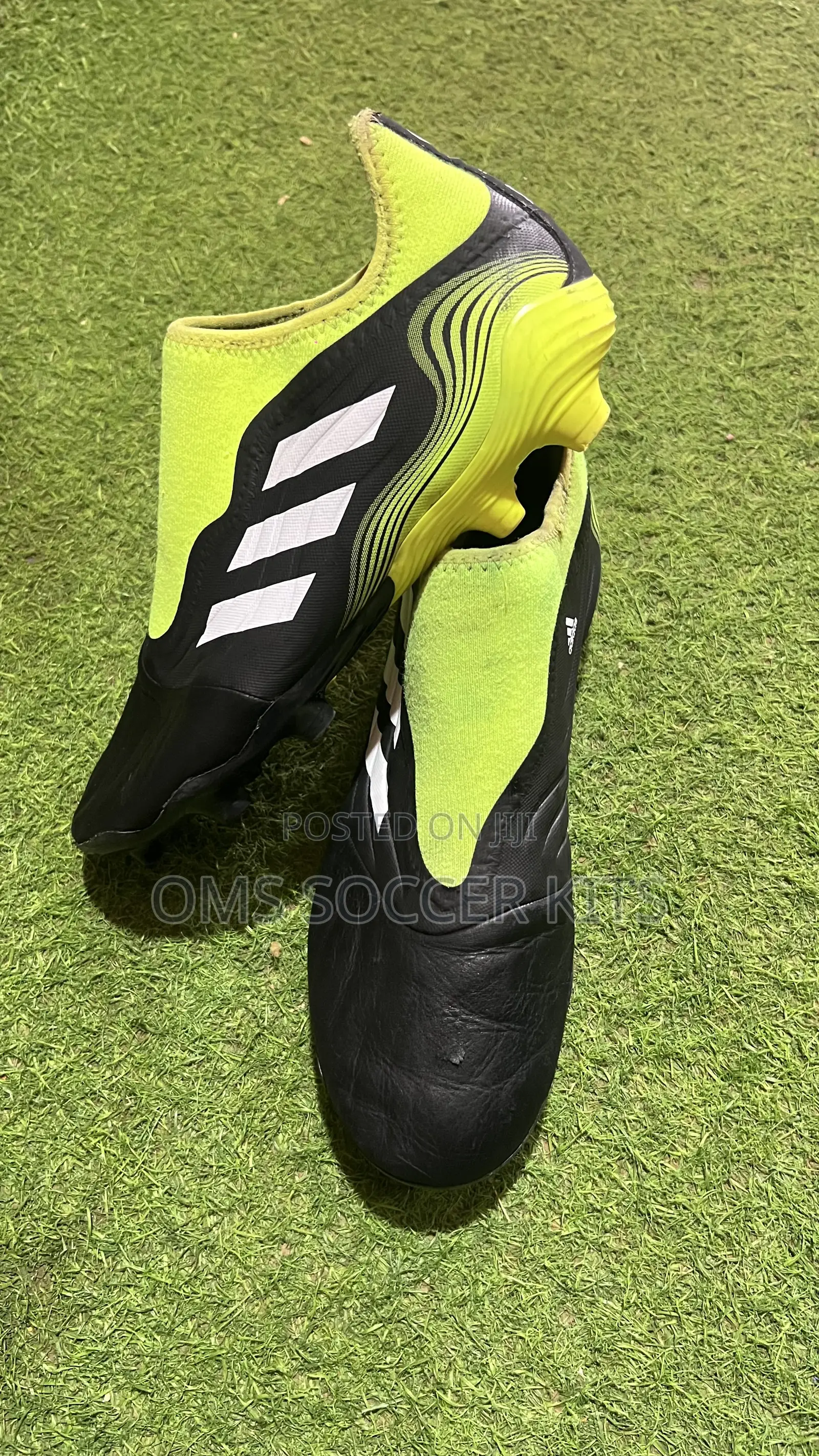 Adidas Copa Sense .3 Laceless Fg