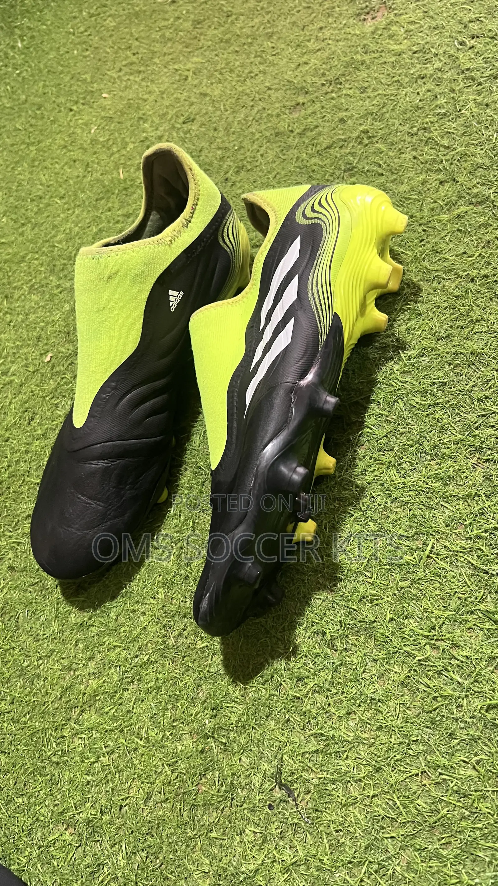 Adidas Copa Sense .3 Laceless Fg