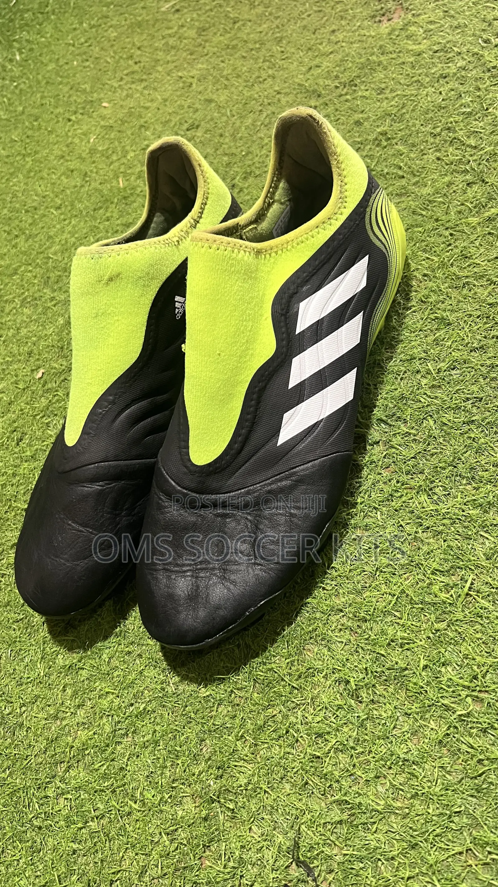 Adidas Copa Sense .3 Laceless Fg