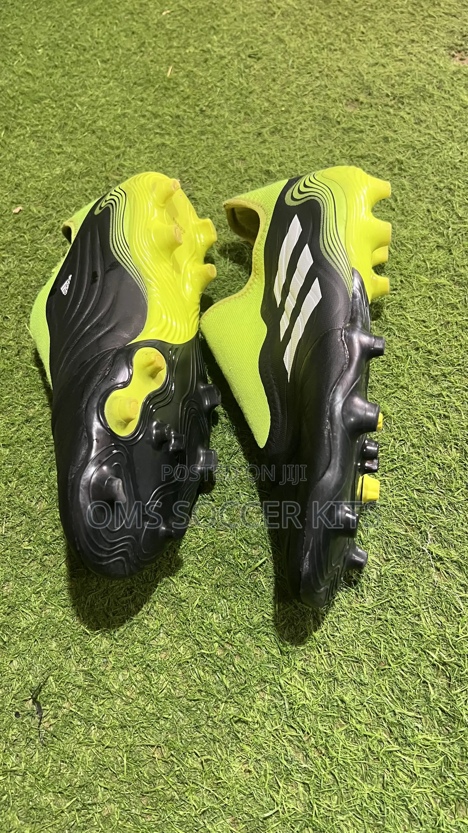 Adidas Copa Sense .3 Laceless Fg