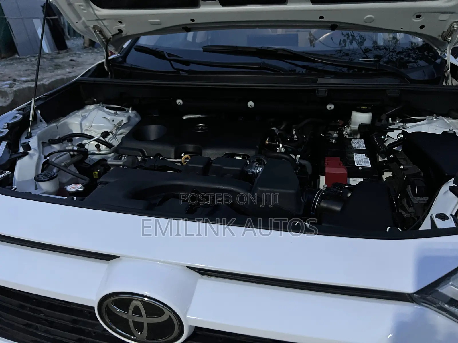 Toyota RAV4 XLE 2022 White
