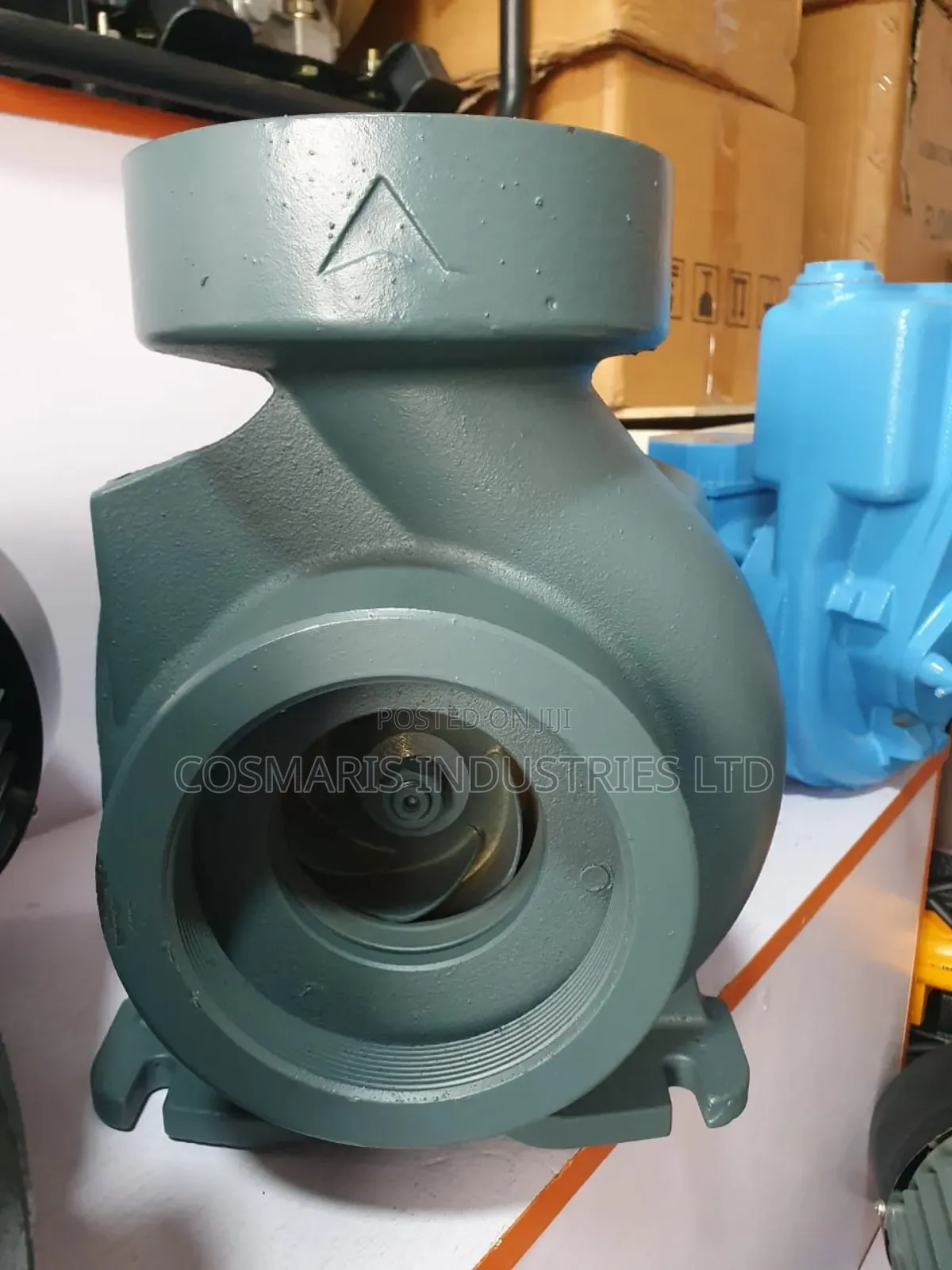 Maris Monoblock Transfer Pump (4kw (5.5hp)