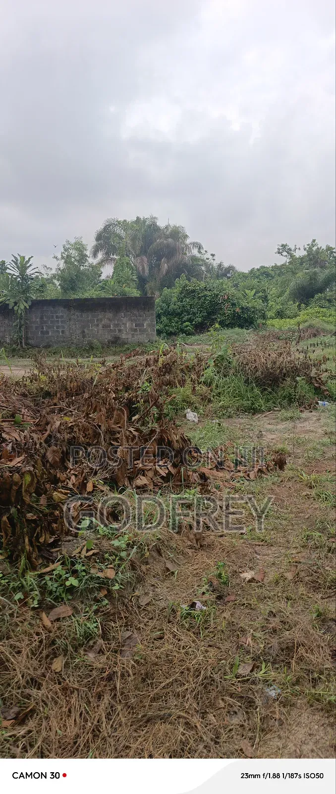 Landed Commercial Property