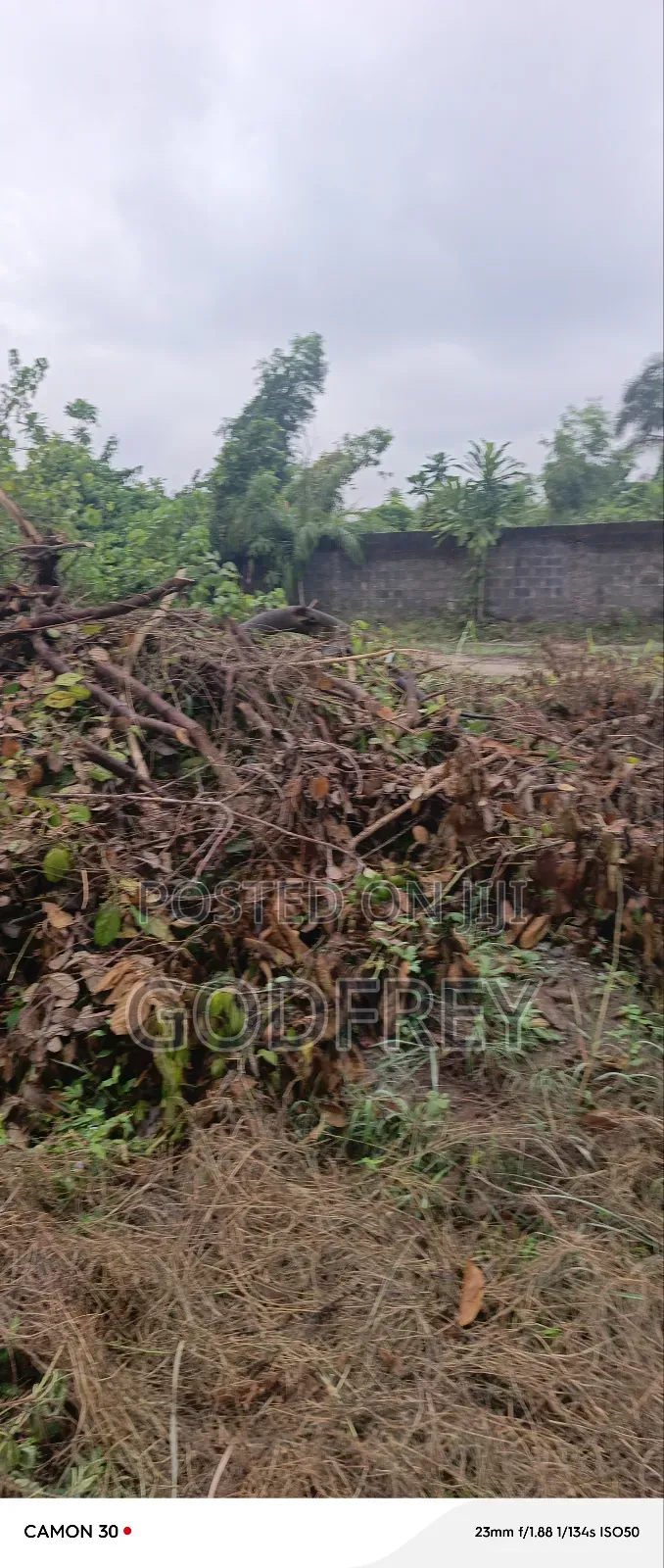 Landed Commercial Property