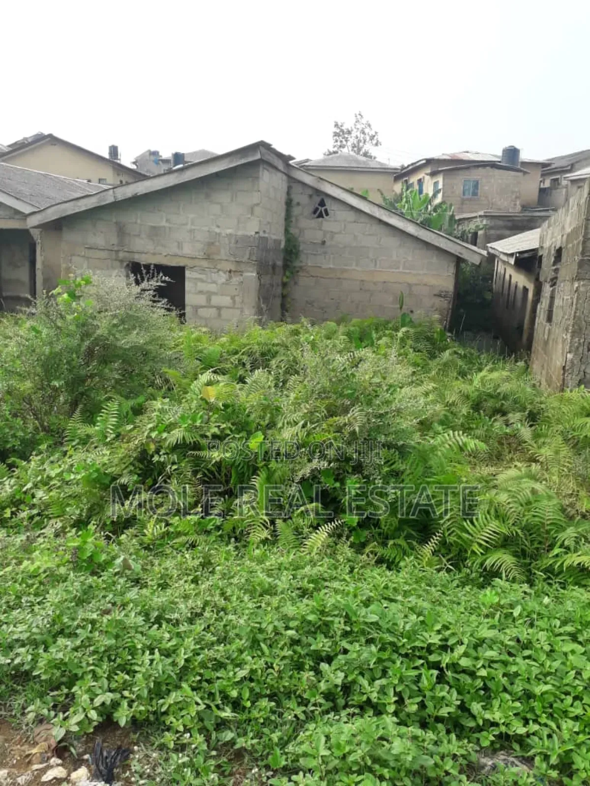 5000 Acres of Farmland Imobi Ijabu East Ogun State
