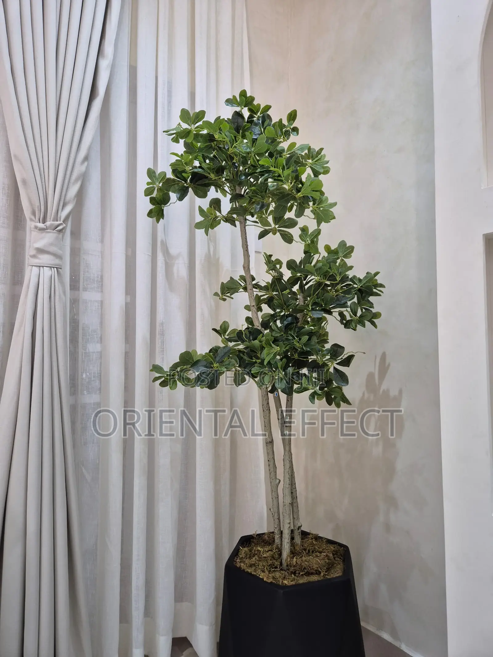 Artificial Twisted Cedar Tree With Black Matte Coral Pot