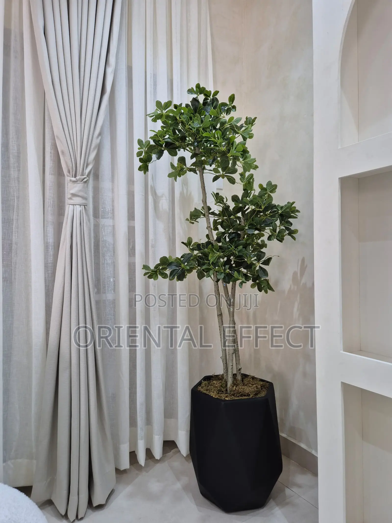 Artificial Twisted Cedar Tree With Black Matte Coral Pot