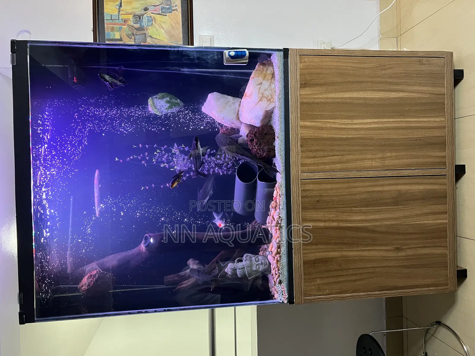 4ft by 4ft Stand Alone Aquarium
