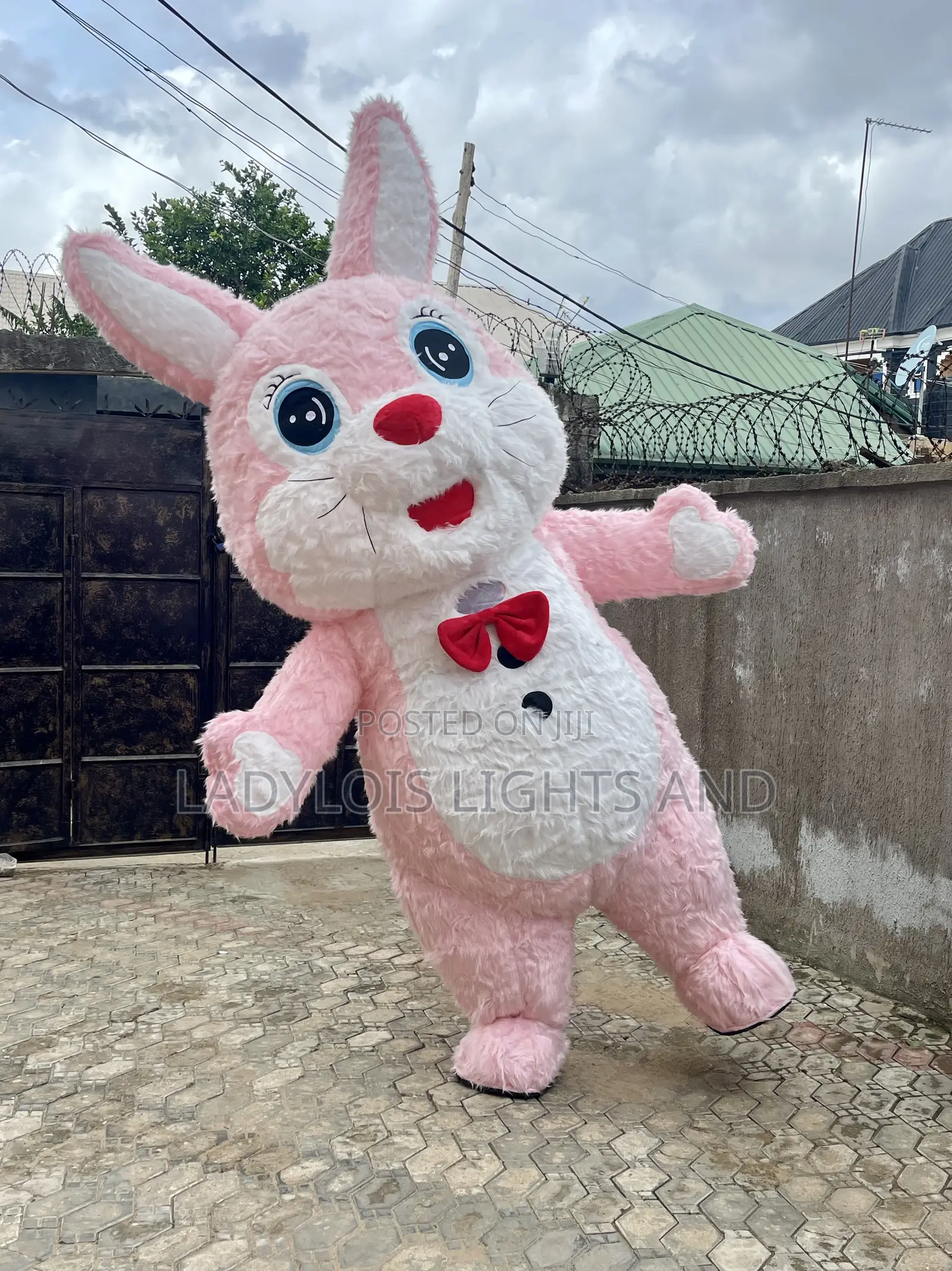 Short Ear Bunny