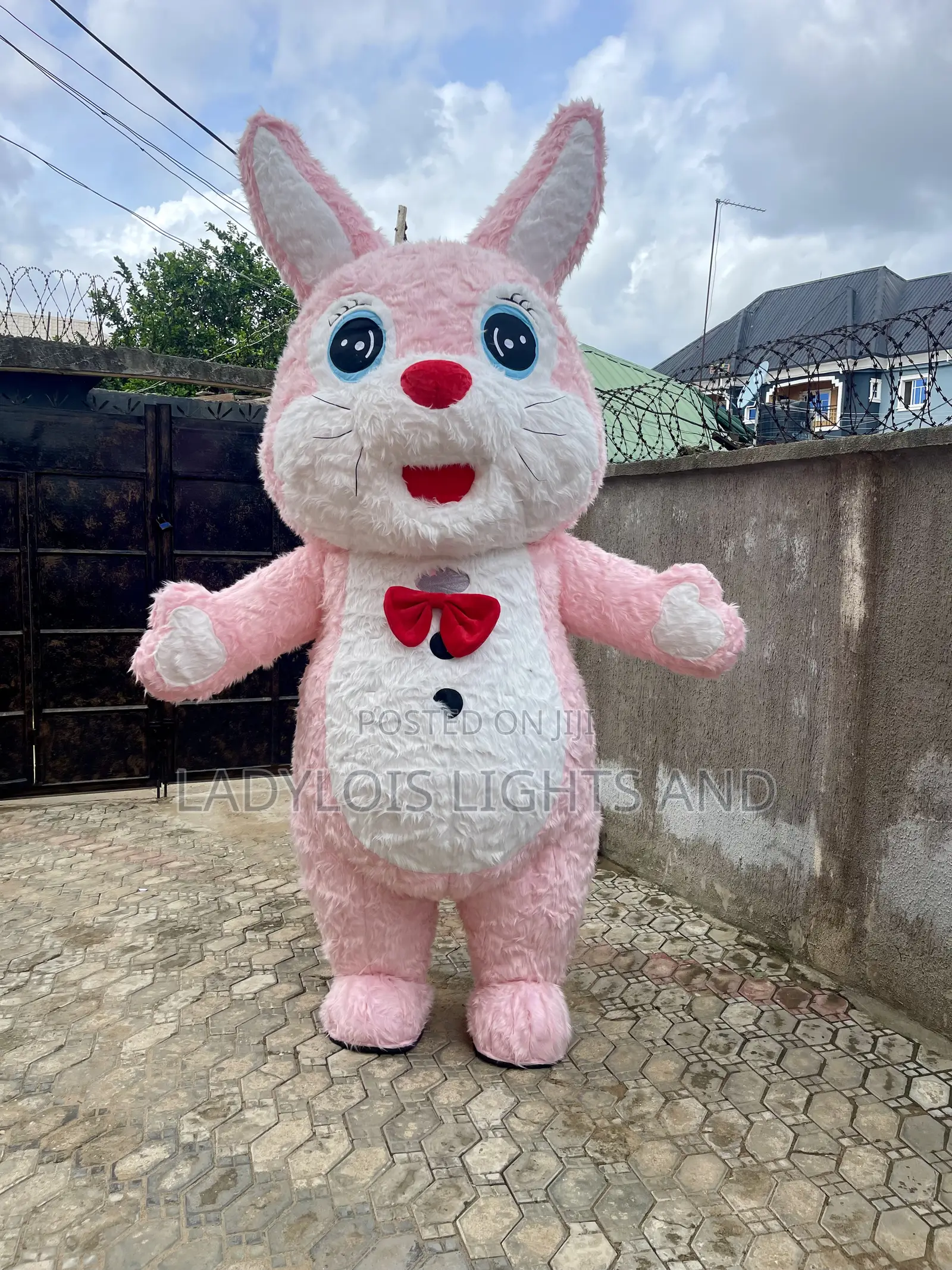 Short Ear Bunny