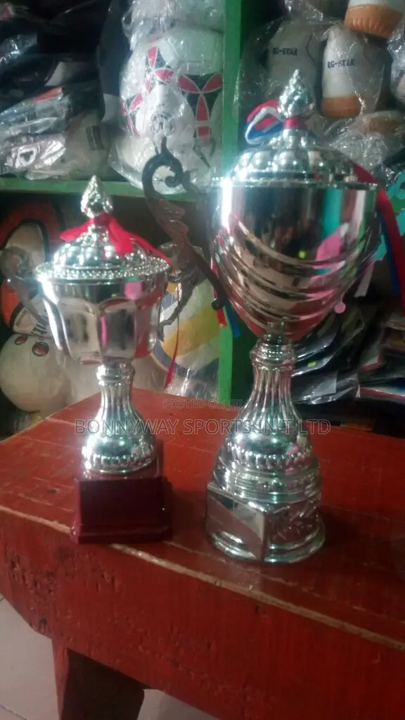 All Sizes Of Gold, Silver Sports Trophies At Bonnyway Sports Intl Ltd