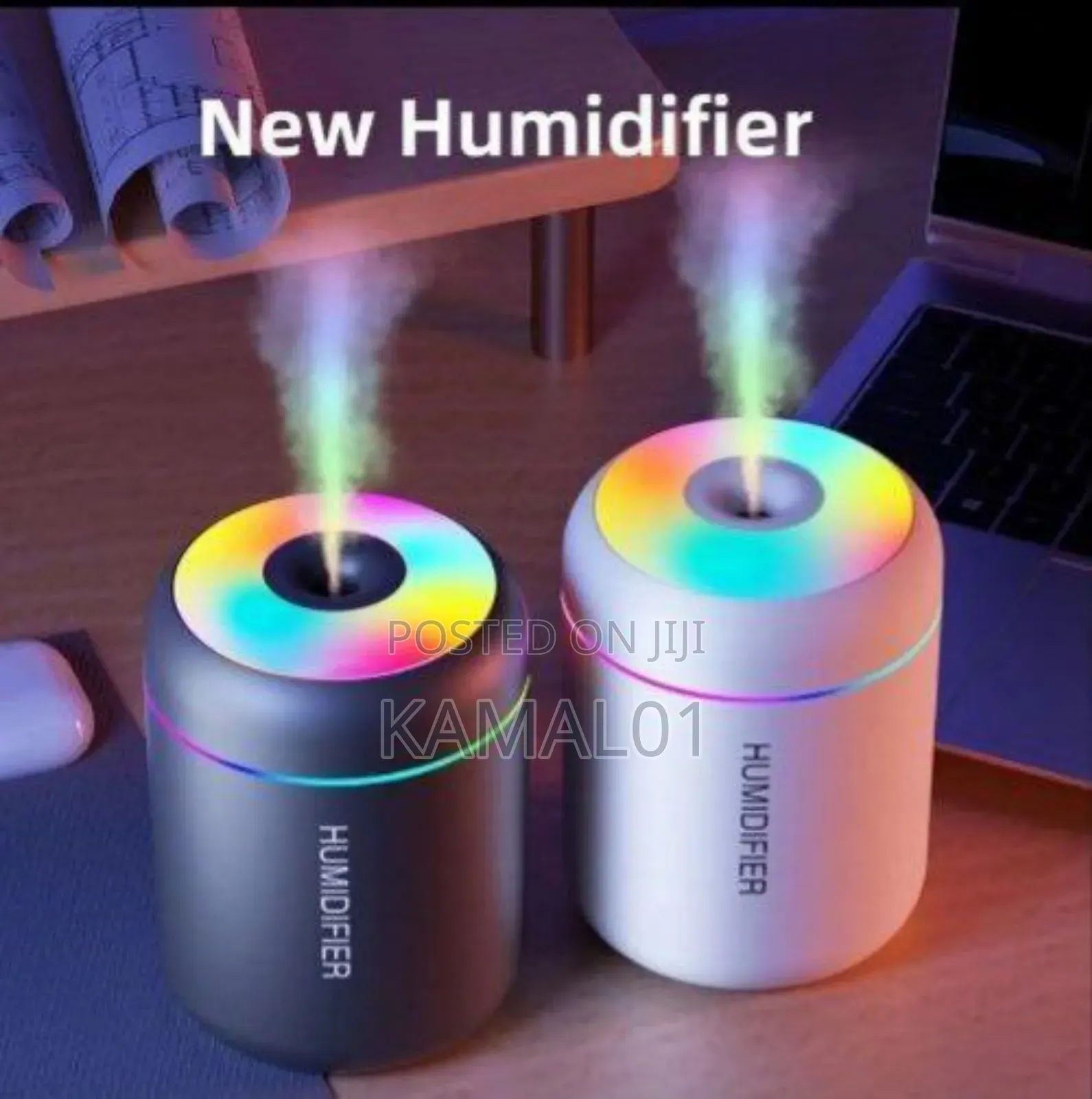 Humidifier for Room Moisture