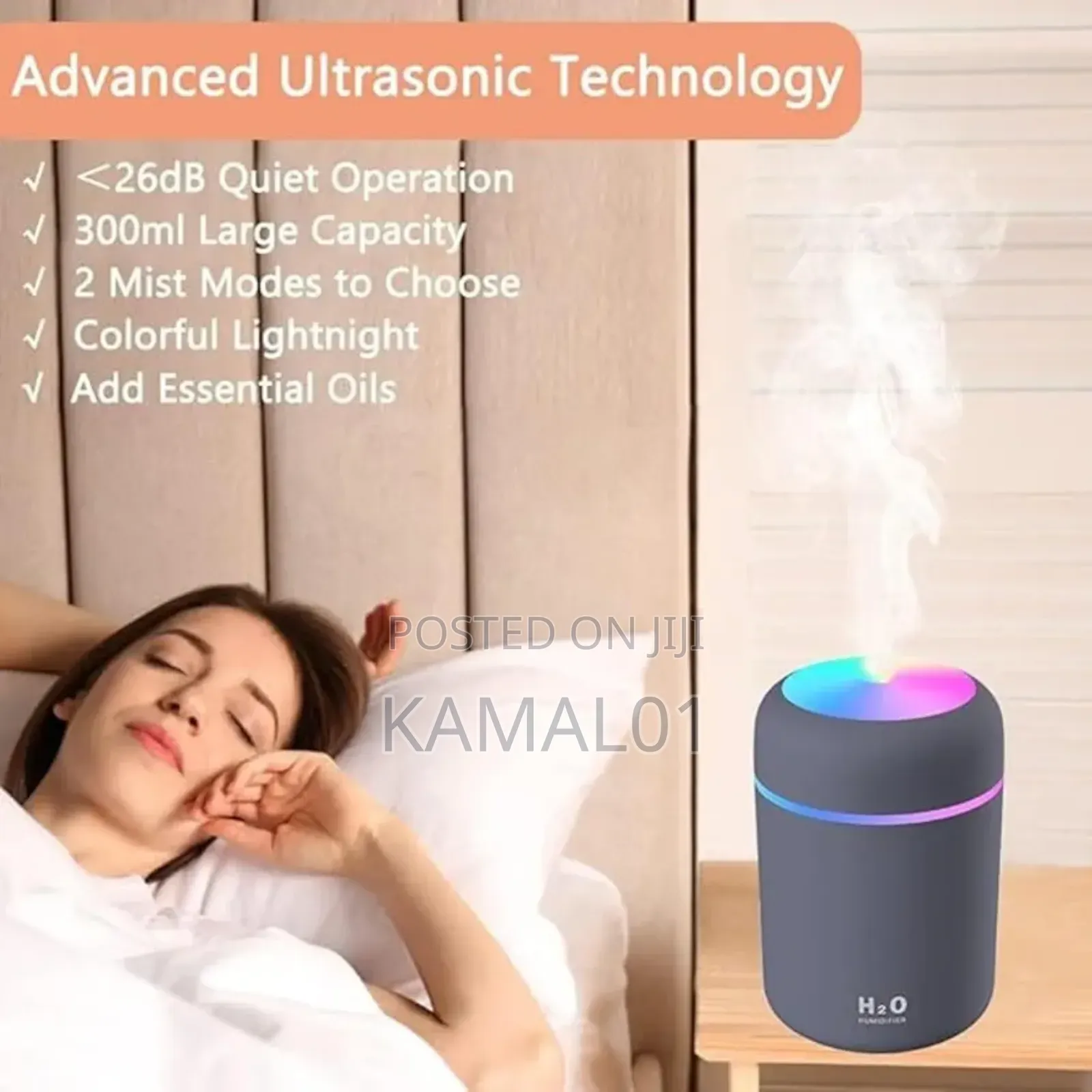 Humidifier for Room Moisture