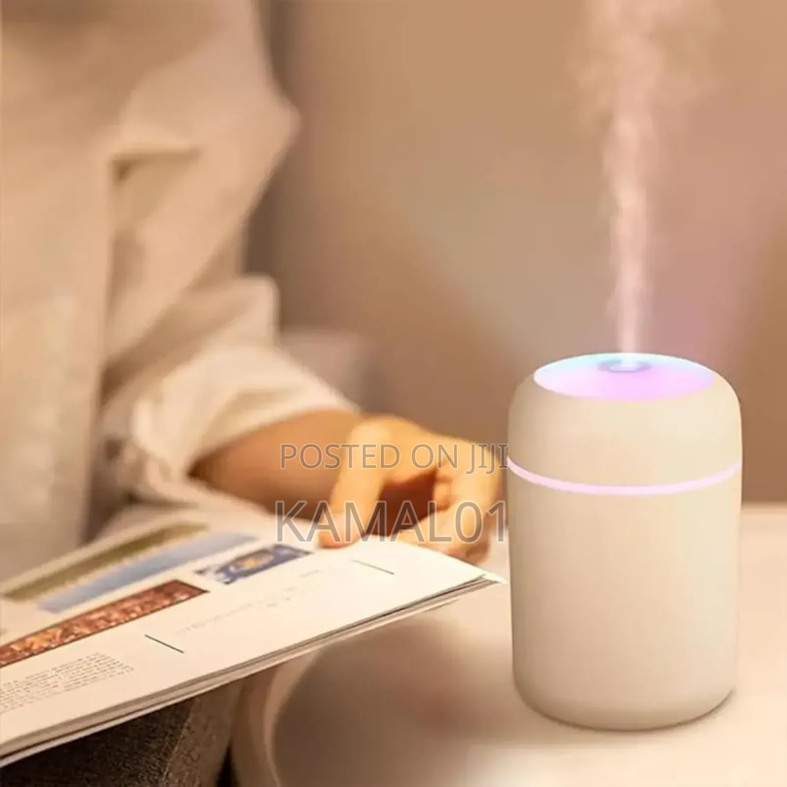 Humidifier for Room Moisture