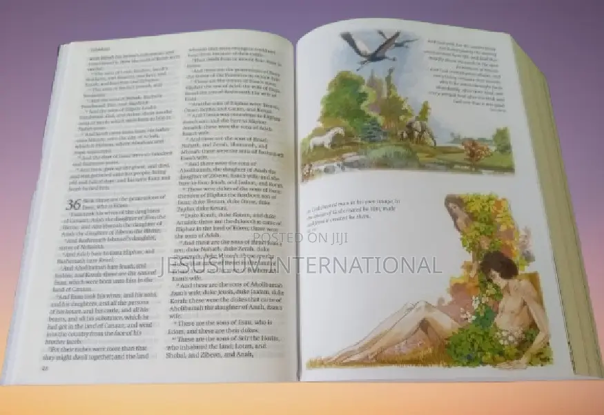 KJV Illustrated Bible +Full Color Maps for Adults Children