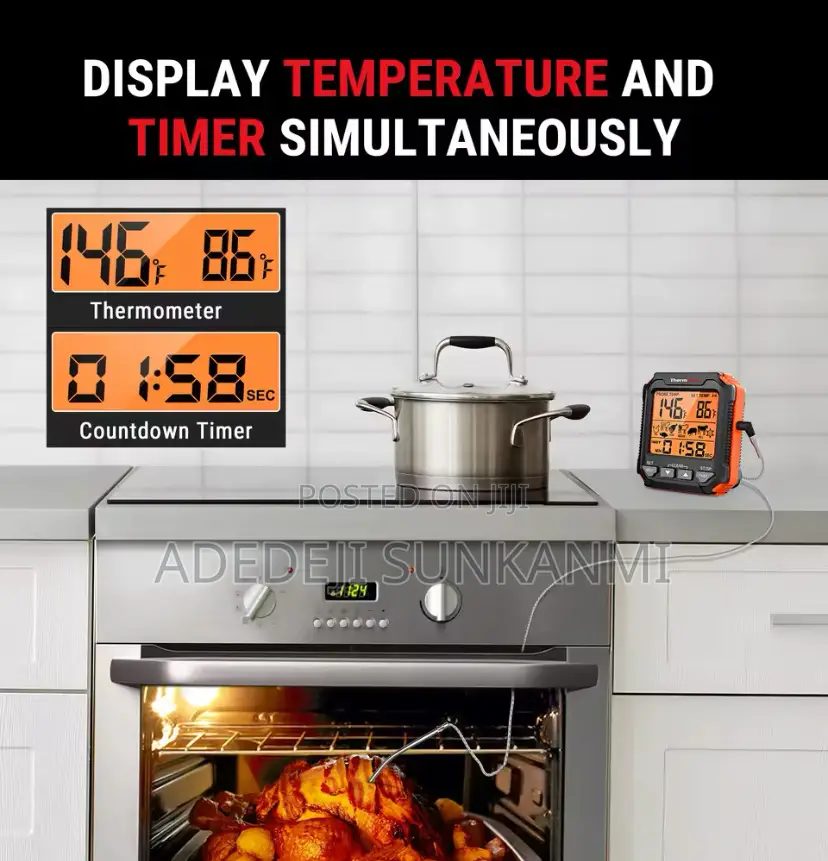 Probe Style Professional Digital Food Thermometer