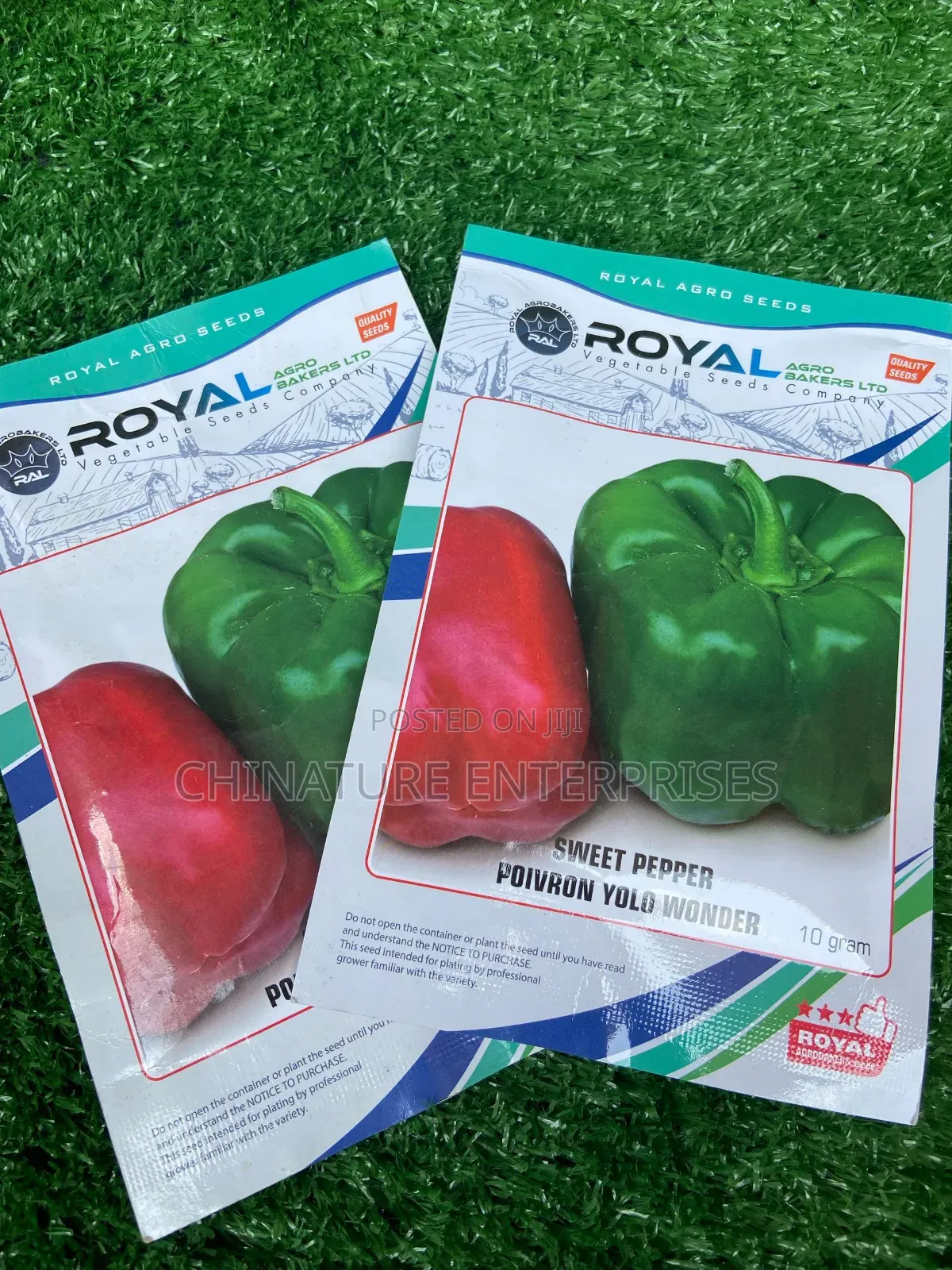 Green Pepper Planting Seeds ( Packet