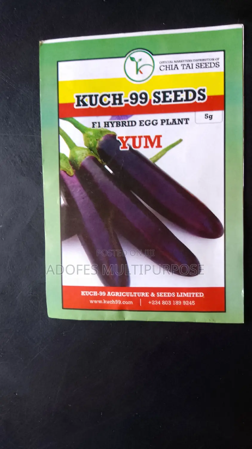 Egg Plant Long Purple F1 5g