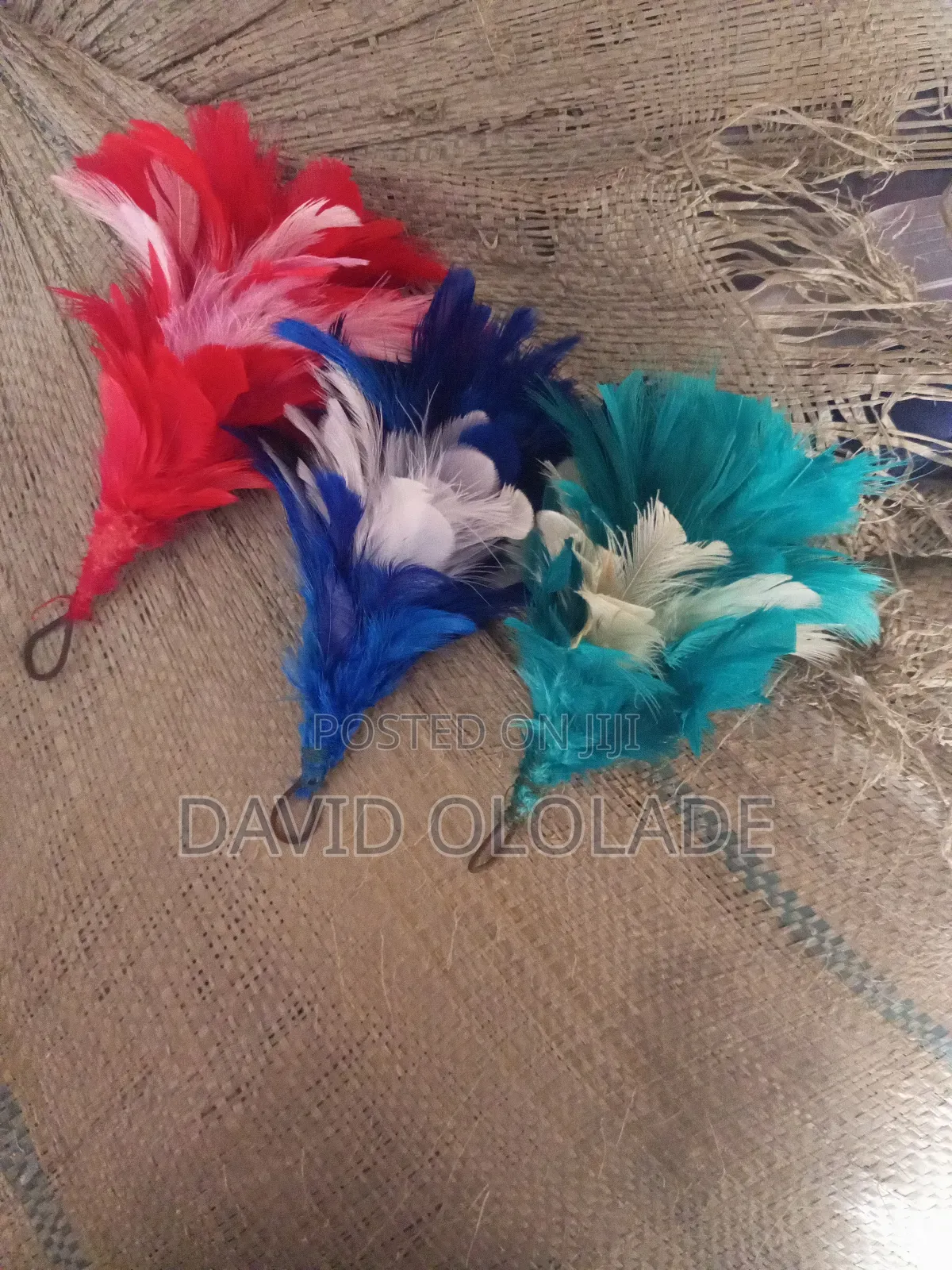 Plum Feathers