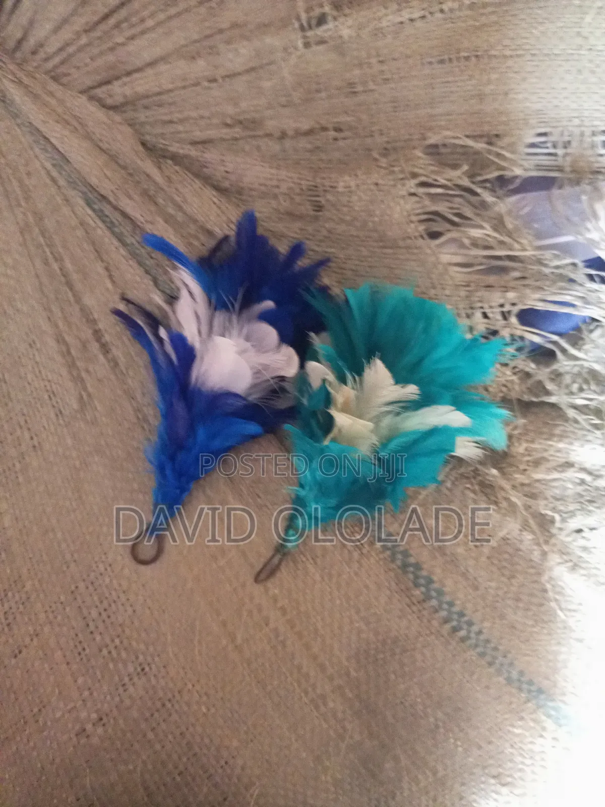 Plum Feathers
