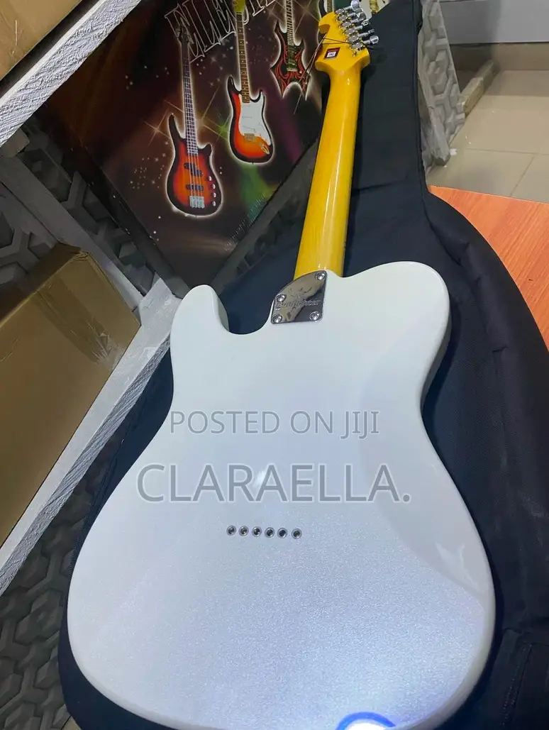 Professional Bullfighter Telecaster Electric Guitar