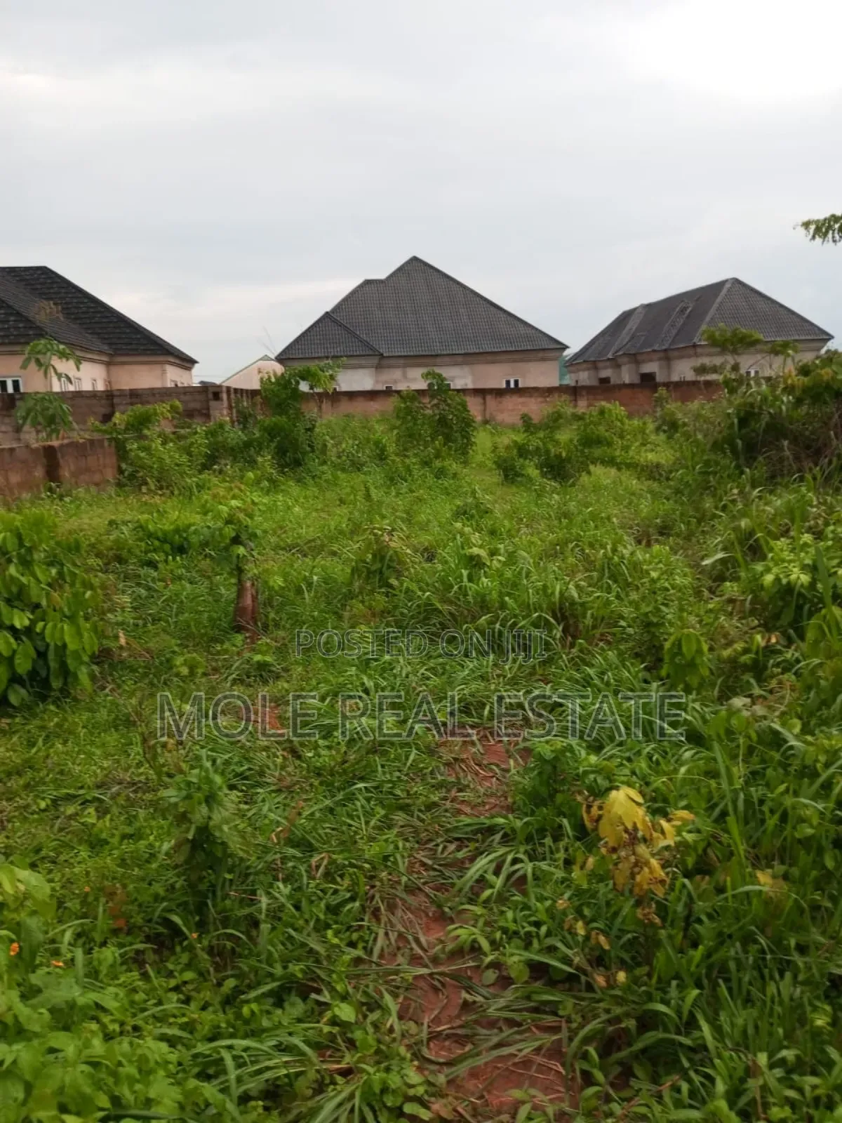 Half Plot Of Dry Table Land Lanre Bustop Iguando Lagos