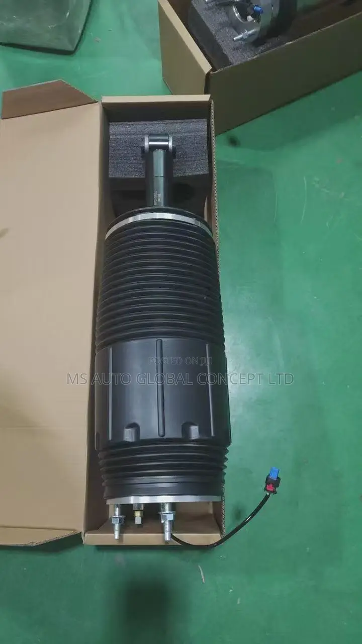 Cadillac Escalade 2024 Back Shock