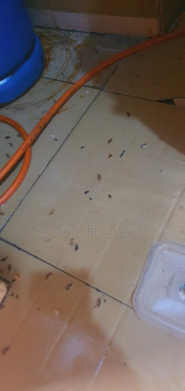 Pest Control / Fumigation Services Available