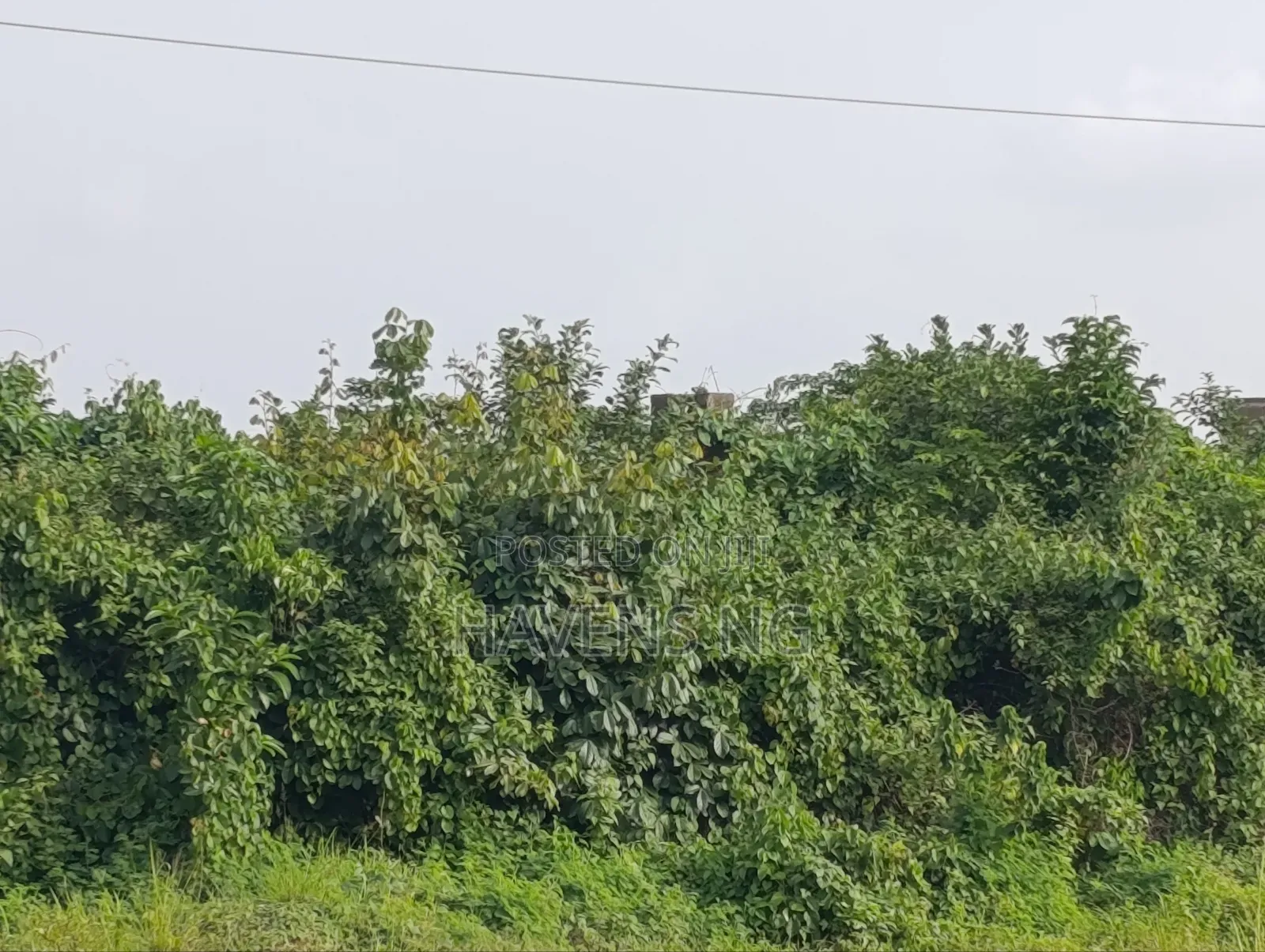 2 Plot of Land Akobo Olorunda Abaa Ibadan